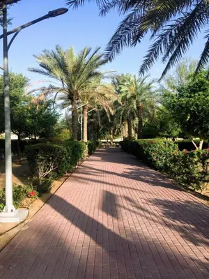 a brick path with palm trees in a park at High Rise Studio Pool Gym Binghatti Gardenia JVC in Dubai
