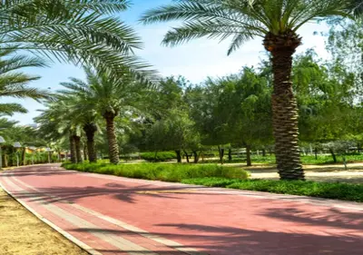 a palm tree lined path with palm trees in a park at City Forest Studio in JVC in Dubai