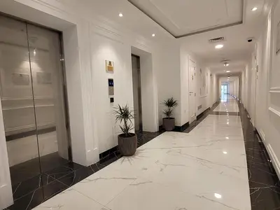 a hallway with two potted plants in a building at Miracle Luxury Studio in Dubai