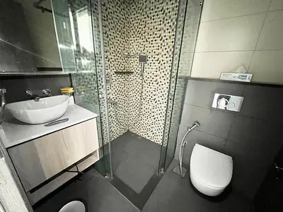 a bathroom with a shower and a sink and a toilet at Dubai heaven in Dubai