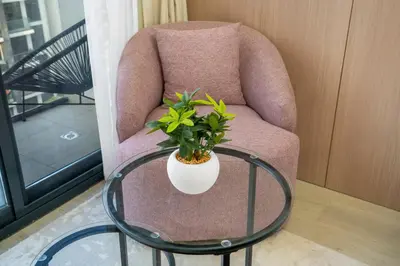 a plant in a vase on a glass table in a chair at Livin' Holidays - Studio - Stylish Stay in Azizi in Dubai