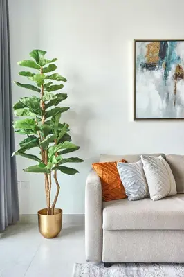 a large green plant in a living room next to a couch at Frank Porter - The Bay in Dubai