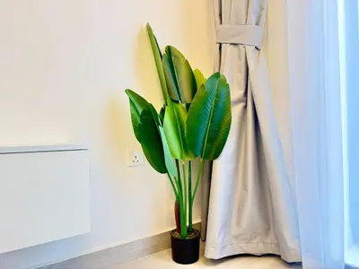 a plant in a black pot next to a curtain at Majestic 2 BHK Park view at Liwan 2- Dubai in Dubai