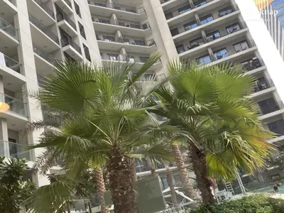 two palm trees in front of a building at Luxury Stay at Zada Tower 1BHK in Business Bay in Dubai