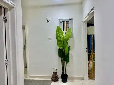 a plant in a room with a white wall at Al Khaleej Apartments Karama in Dubai