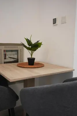 a potted plant sitting on top of a wooden table at Marjan Escape Studio in Dubai