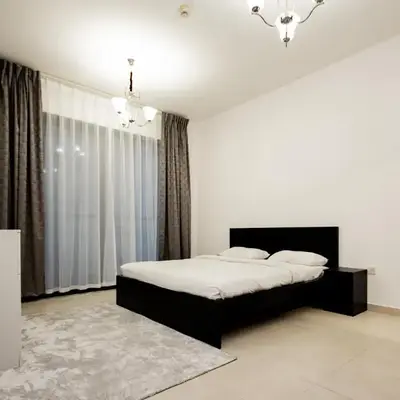 Newly Furnished 1BHK Apartment in Maya Residency