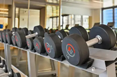 a row of dumbbells on a rack in a gym at Estudio Coral en Dubai By BeBalmy in Dubai