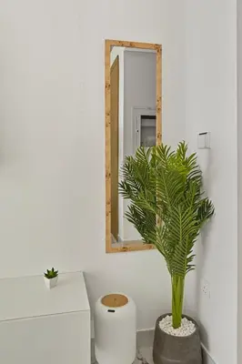 a bathroom with a mirror and a potted plant at Estudio Rimal en Dubái por beBalmy in Dubai