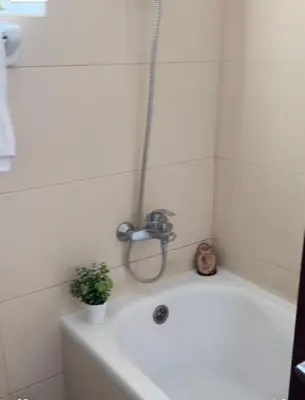 a bath tub with a faucet and a plant on it at Helena - spacious studio with canal view and big Balcony in Dubai