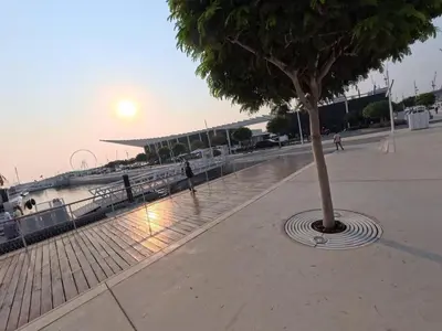 a tree in the middle of a sidewalk near the water at Orange Plumeria 1701 - 2BR SeaView with Prvt Beach in Dubai