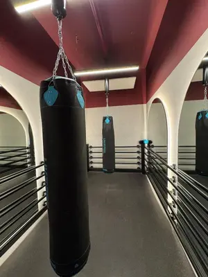 a boxing ring with two punching bags hanging from the ceiling at Peaceful Modern Home Overlooking JVC Green Park in Dubai