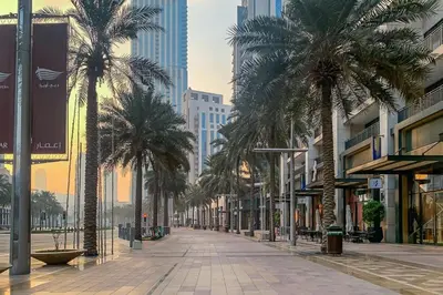 a street with palm trees in a city with buildings at Frank Porter - Burj Vista Tower 2 in Dubai