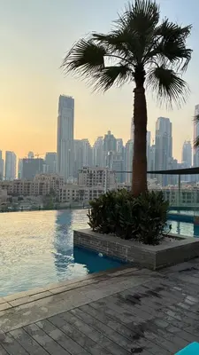 a palm tree sitting next to a body of water at Damac Maison The Distinction 1 BHK Burj Khalifa in Dubai