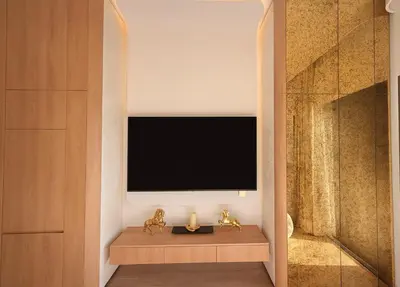 a bathroom with a television and two bronze animals on a shelf at Designer Studio near Downtown & Dubai Mall in Dubai