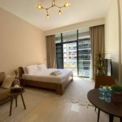 Stylish studio with Pool and Gym access.