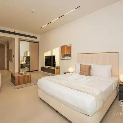 Brand New Luxe Studio Sauna