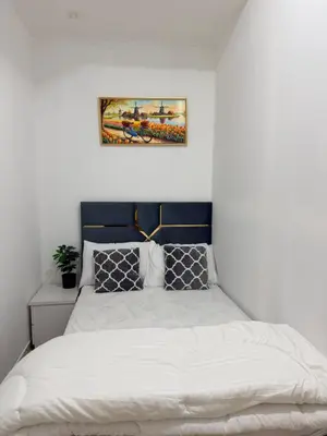 a bedroom with a bed and a painting on the wall at Bienvenue Homes in Dubai