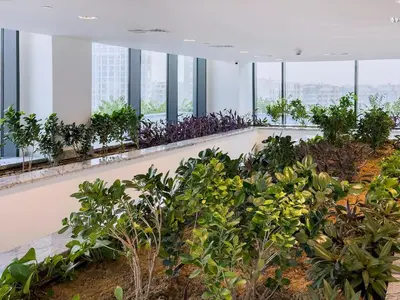 an office with plants on the floor and windows at Stylish 1BR Sobha The Crest Pool & City View in Dubai