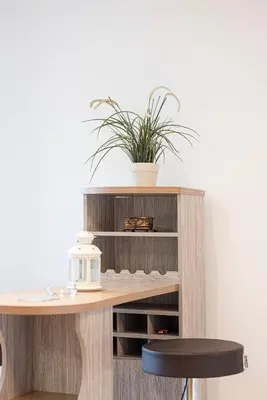 a table with a potted plant on top of it at FiveX Luxury 2BR at Lake Point JLT in Dubai