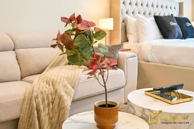 a potted plant on a coffee table in a living room at Elite Studio in Dubai Hills Near Dubai Hills Mall in Dubai