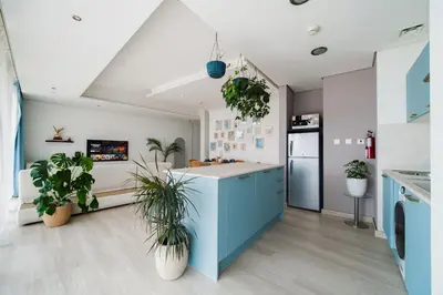 a kitchen with blue cabinets and potted plants at Settler Homes - Premium Matrix Tower with Hot Tub in Dubai