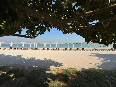 a group of birds sitting on the beach at 2BHK in Palm Jumeirah Sea View Grandeur Residence 301 in Dubai