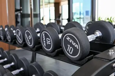 a row of black dumbbells in a gym at Golden Stays - Private Pool Modern 2BR Oasis in JVC in Dubai