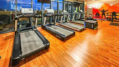 a row of cardio machines in a gym at Vida The Hills Residences, Dubai in Dubai