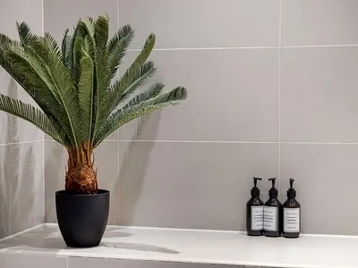 a plant sitting on a counter with bottles of wine at Livin' Holidays - 2 BR - Anantara Beach View in Dubai