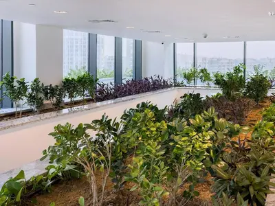 an office building with plants and windows at Premium 3BR Study in Sobha Hartland in Dubai