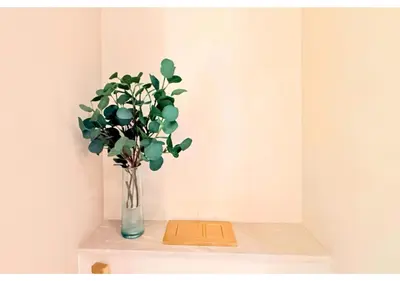 a vase with a plant sitting on a shelf at Chic Modern Studio Unit in JVC with 65 inch TV in Dubai