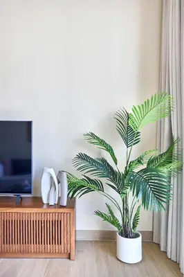 a palm plant in a living room next to a tv at Frank Porter - La Voile 3, La Mer in Dubai