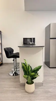 a plant in a pot in a room with a counter at 1BDR Large Living Room Nearby Metro in Dubai
