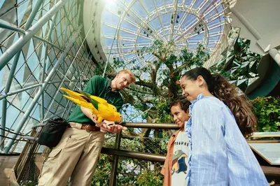 a man holding a parrot in front of a group of people at La Ville Hotel & Suites CITY WALK Dubai, Autograph Collection in Dubai