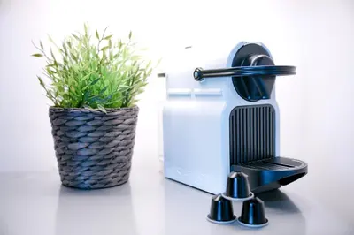 a bathroom sink with a faucet and a plant at Elite Royal Apartment - Full Burj Khalifa & Fountain View - Premium in Dubai