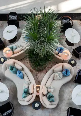 an overhead view of chairs and tables and plants at Dusit Thani Dubai in Dubai