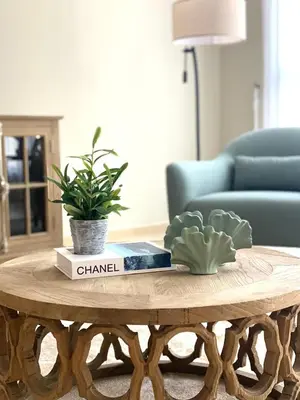 a coffee table with a plant on top of it at Nasma Luxury Stays- Majestic Marina Views, Lavish 4BR Getaway in JBR in Dubai