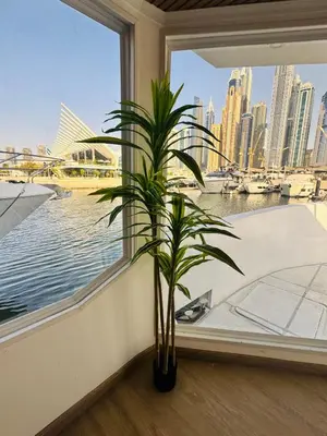 a plant in a window with a view of a city at Boat Camping in Dubai