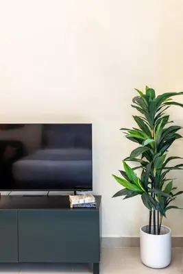 a potted plant in a living room next to a tv at Silkhaus lovely studio with Downtown view in Boulevard central in Dubai