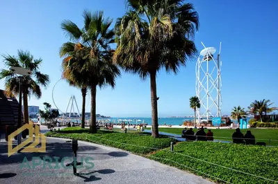 a park with palm trees and the beach at Wonderful 2BD apartment near The Beach Sadaf Jbr in Dubai