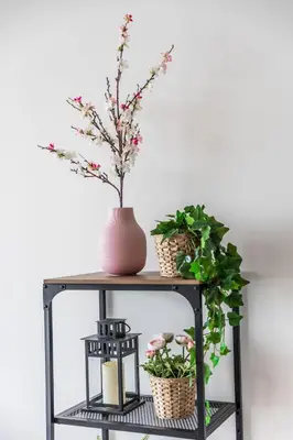 a shelf with plants and a vase on it at 72 floor 2BR at the Address JBR with Marina Views! in Dubai