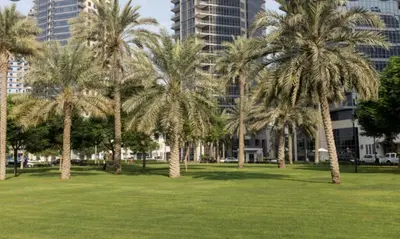 a group of palm trees in a park with buildings at Luxury 3 BR - Direct View to Burj Khalifa in Dubai