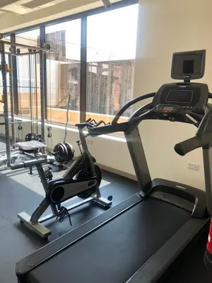 a gym with two treadmills and a treadmill at Azur Regency Hotel Apartments in Dubai