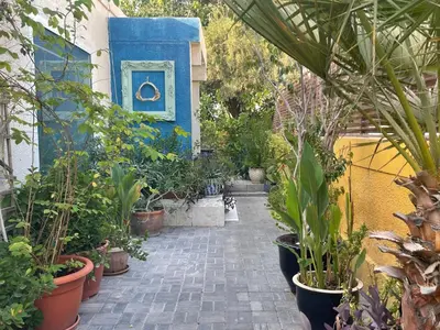 a garden with potted plants and a blue wall at Tropicana Guestroom 7 min walk from the beach in Dubai