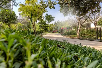a road in a park with green grass and trees at STAY BY LATINEM Luxury 1BR Holiday Home CV A2304 near Burj Khalifa in Dubai