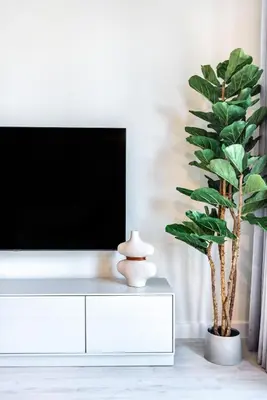 a living room with a tv and a plant at The Smart Concierge - Sparkle tower in Dubai
