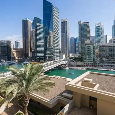Frank Porter - Al Sahab 2