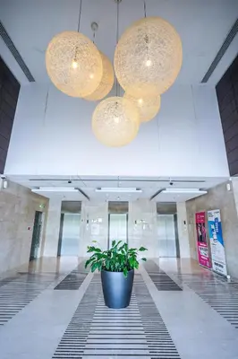 a potted plant in the middle of a hallway with lights at Alashrafia Saray 2BR apartment in Sport City in Dubai
